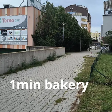 Pretty View Apartment, Private Parking, 8min To Center By Car * Pressburg